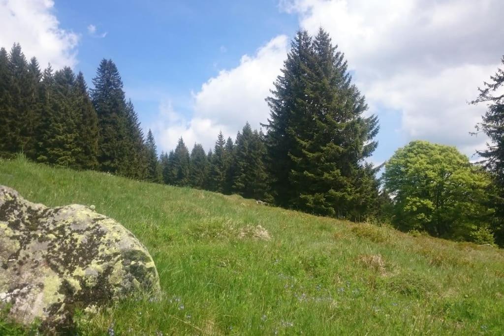 Ferienwohnung Schog Todtnau Εξωτερικό φωτογραφία