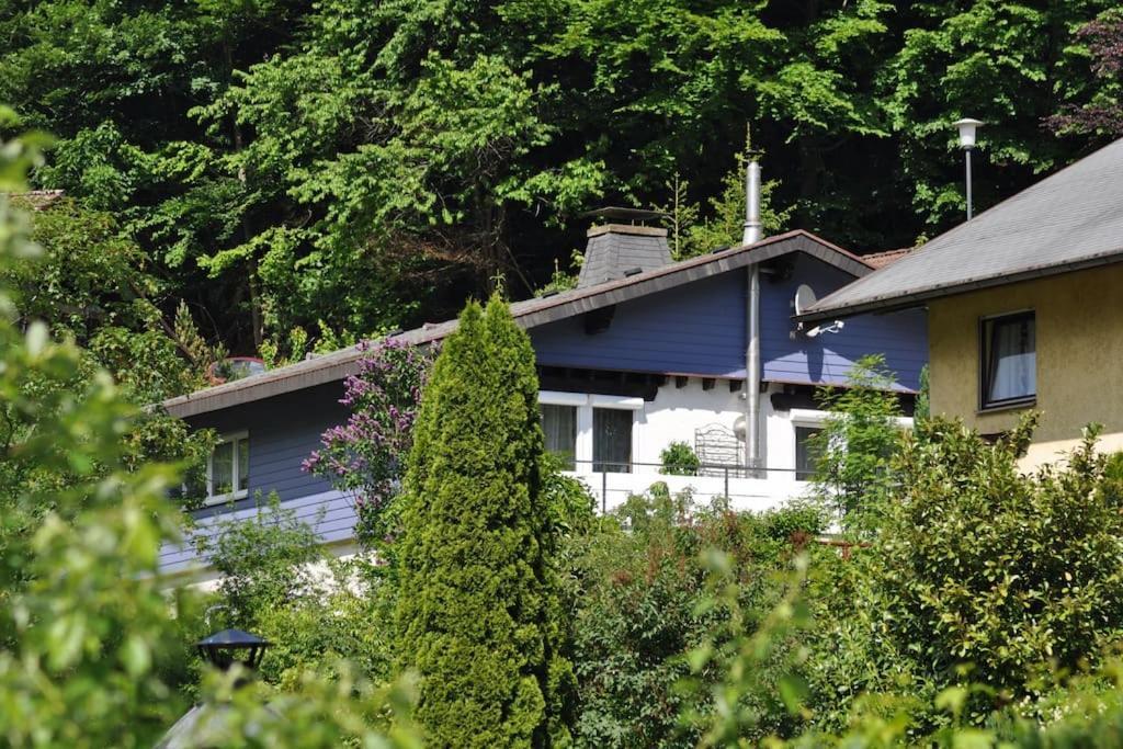 Ferienwohnung Schog Todtnau Εξωτερικό φωτογραφία